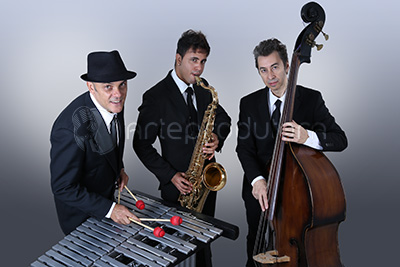 Vibration Jazz Trio