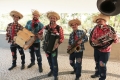 Parada Junina