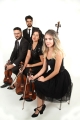 Quarteto Tangará